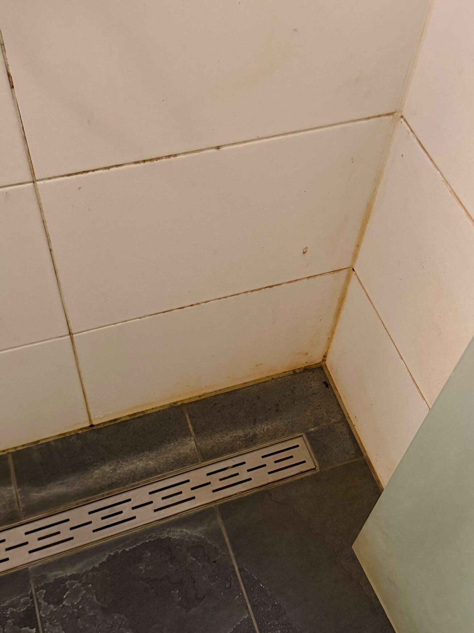 Hoek van de douche vóór de deep clean, met verkleurde voegen en naden en aanslag op de vloer bij de douchegoot