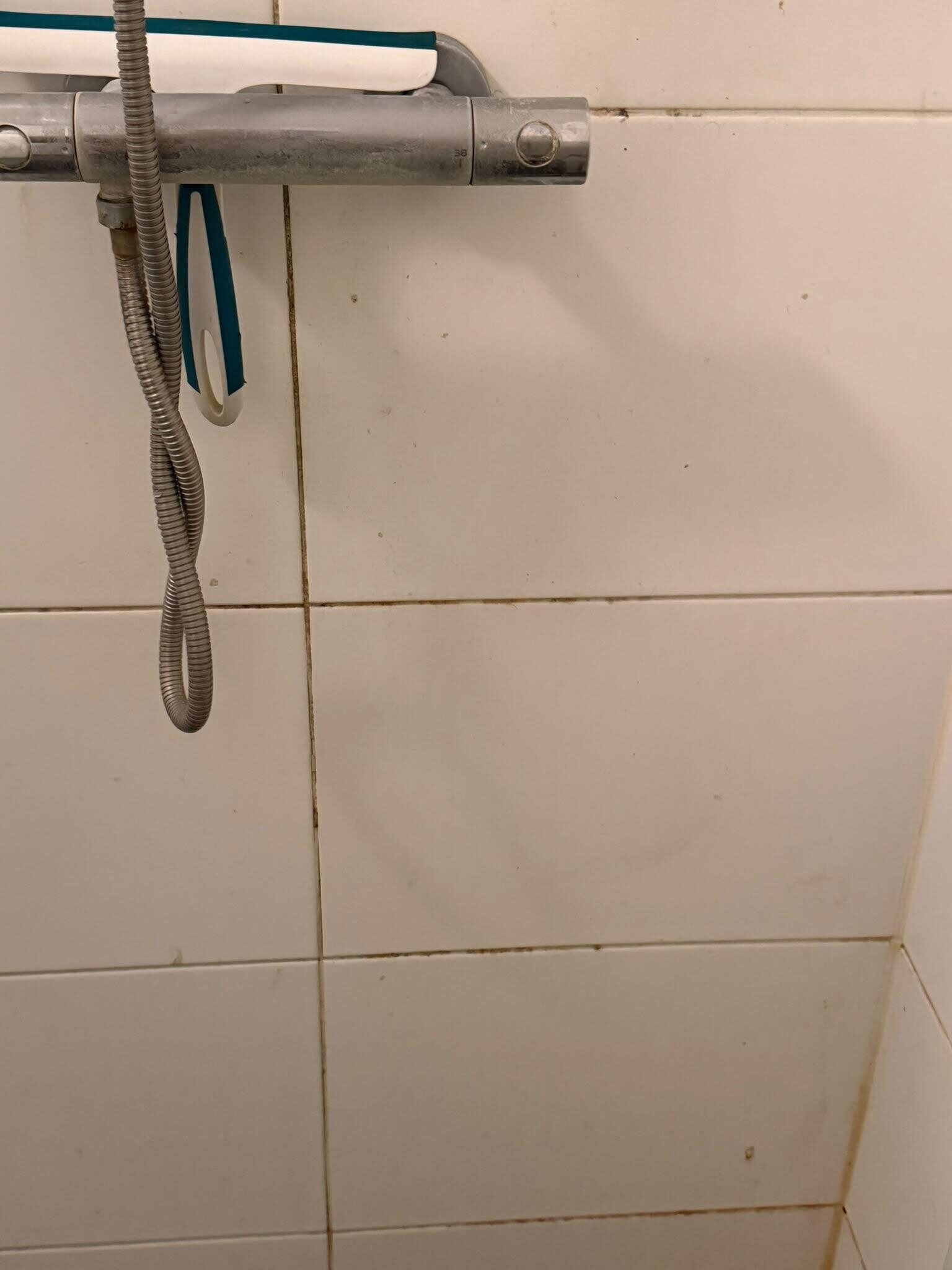 Witte wandtegels bij de douchekraan vóór de deep clean, met donker verkleurde voegen